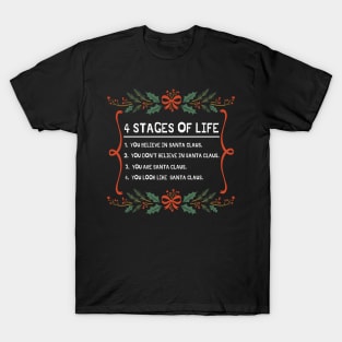 4 stages of life funny Christmas joke T-Shirt